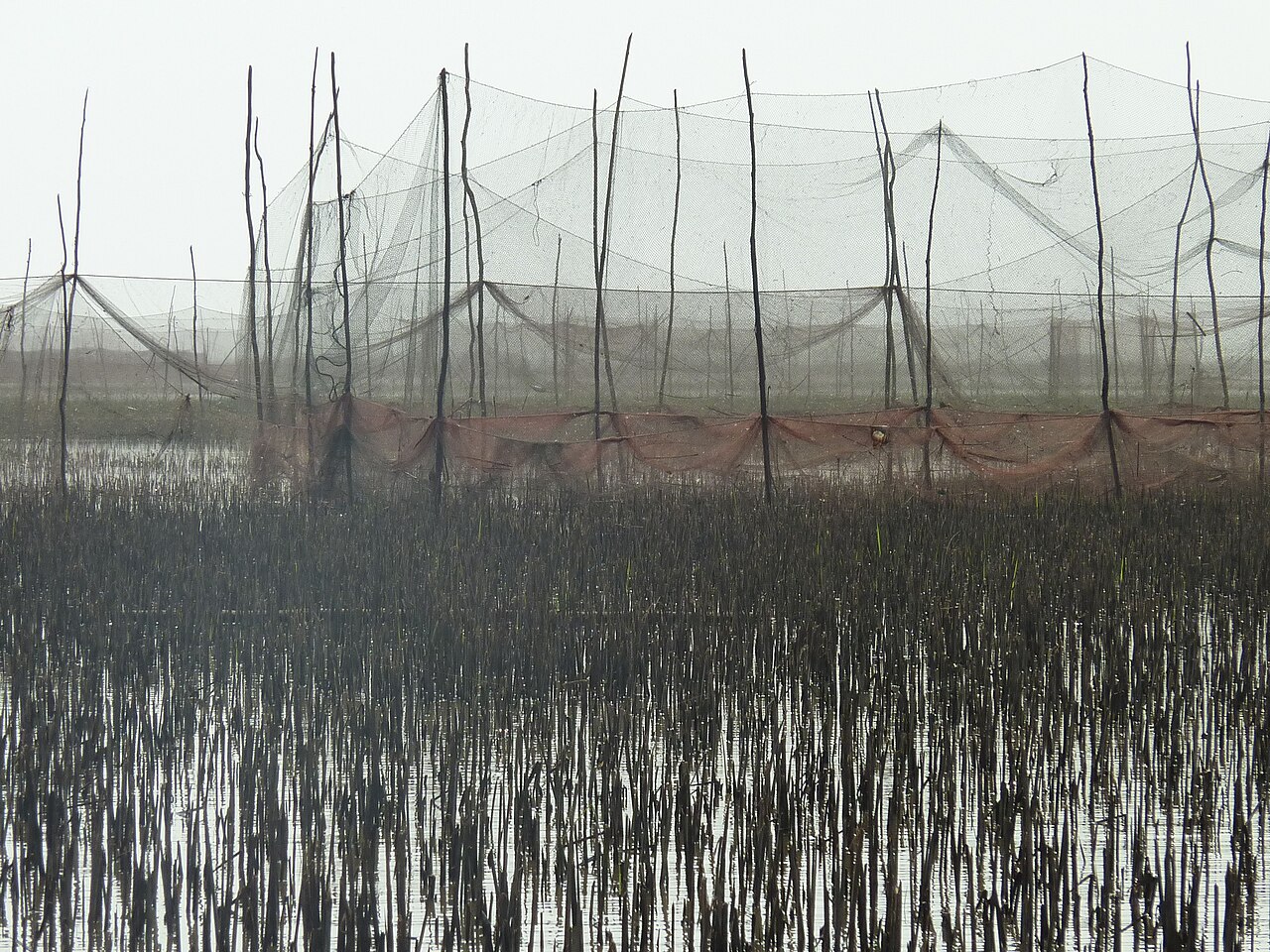 Una fotografía de Tonlé Sap
