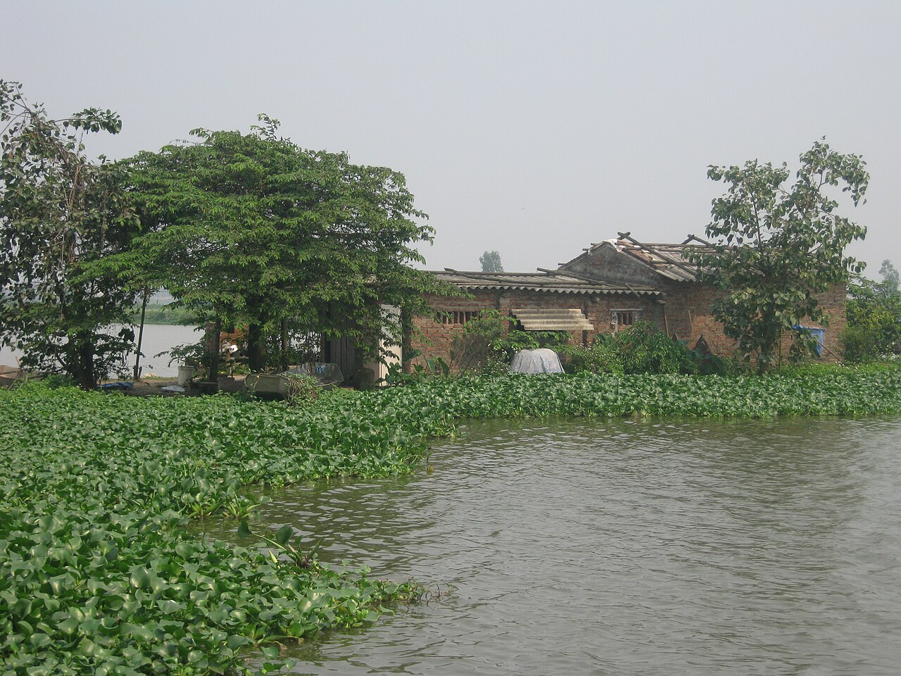 Delta Reserve fotoğrafı