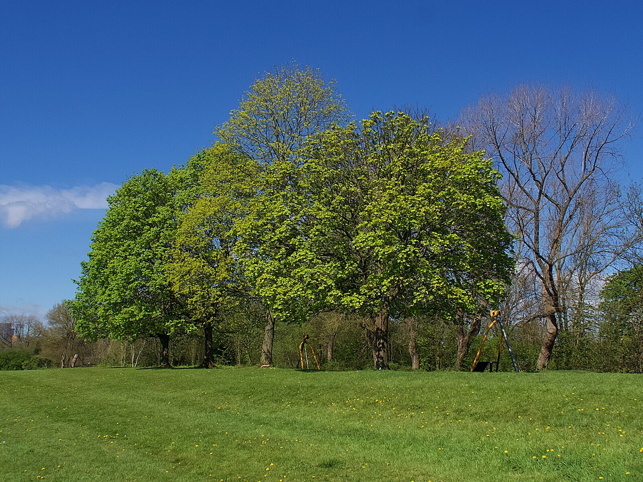 フィリップス公園 の写真