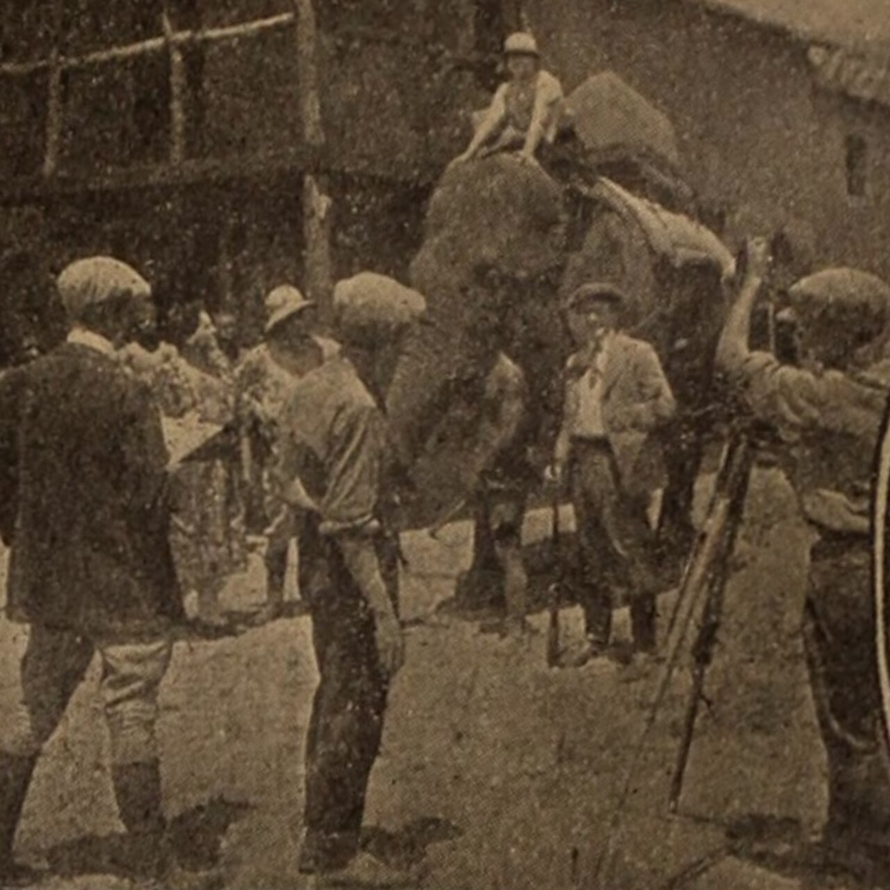 Elephant riding fotoğrafı