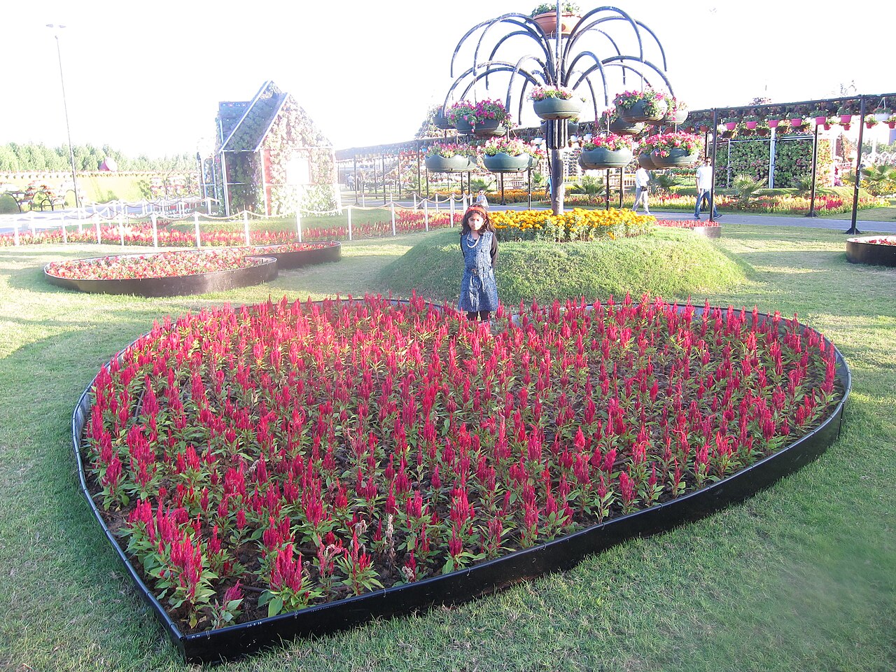 A photograph of Dubai Miracle Garden