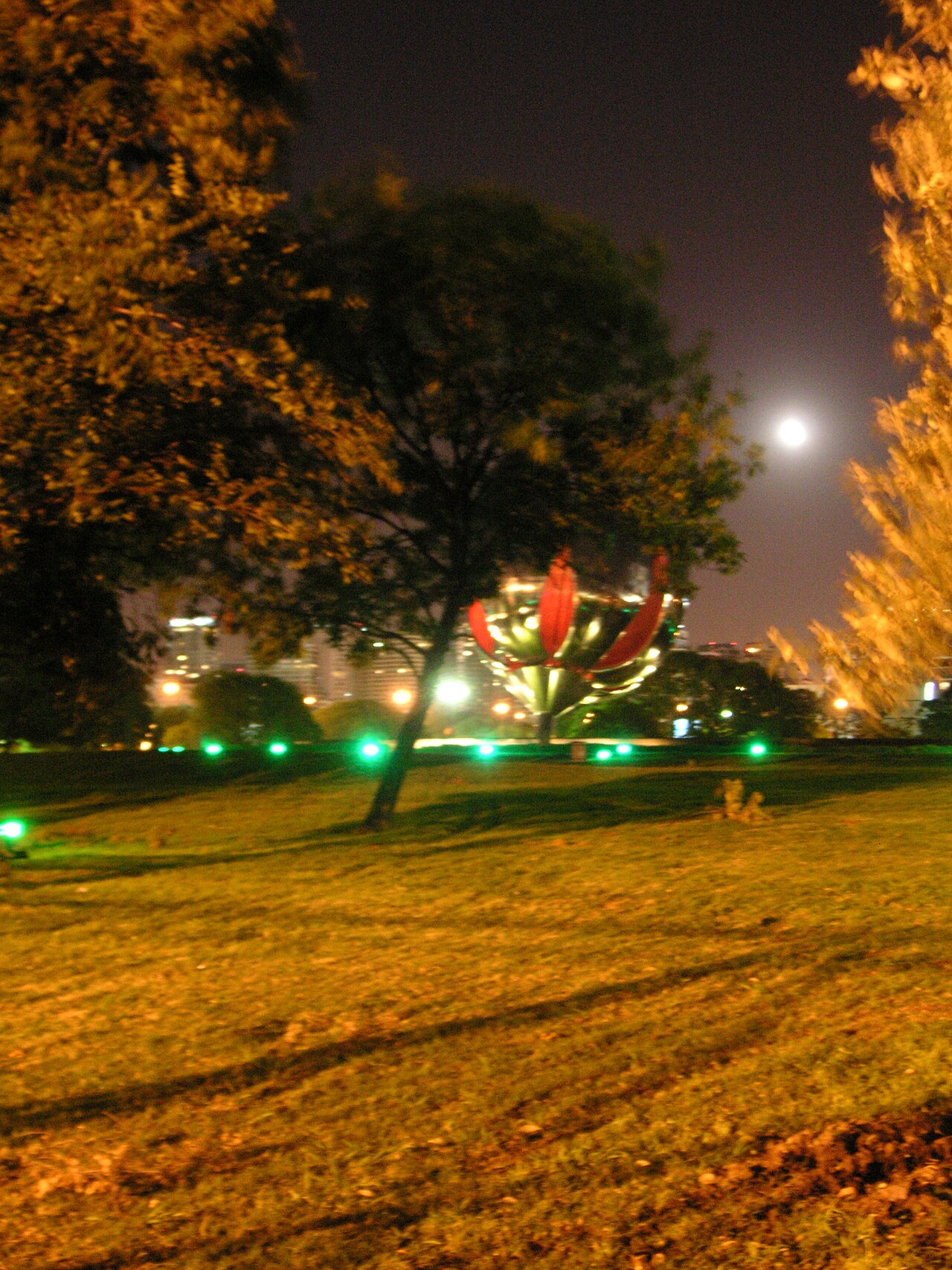 Ein Foto von Floralis Generica