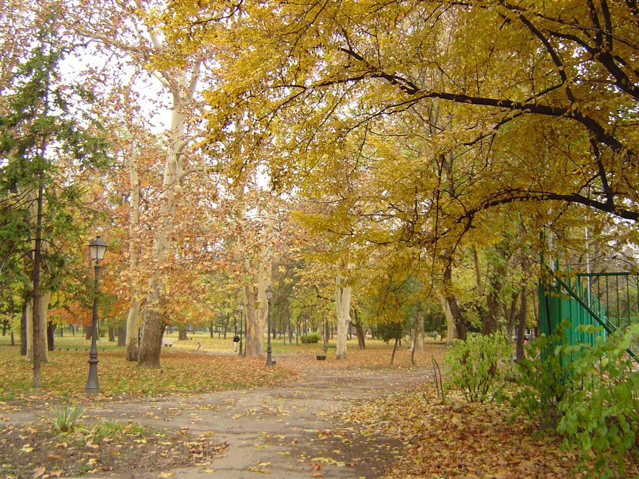 City Park in Zemun