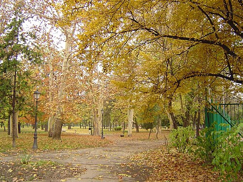 City Park in Zemun