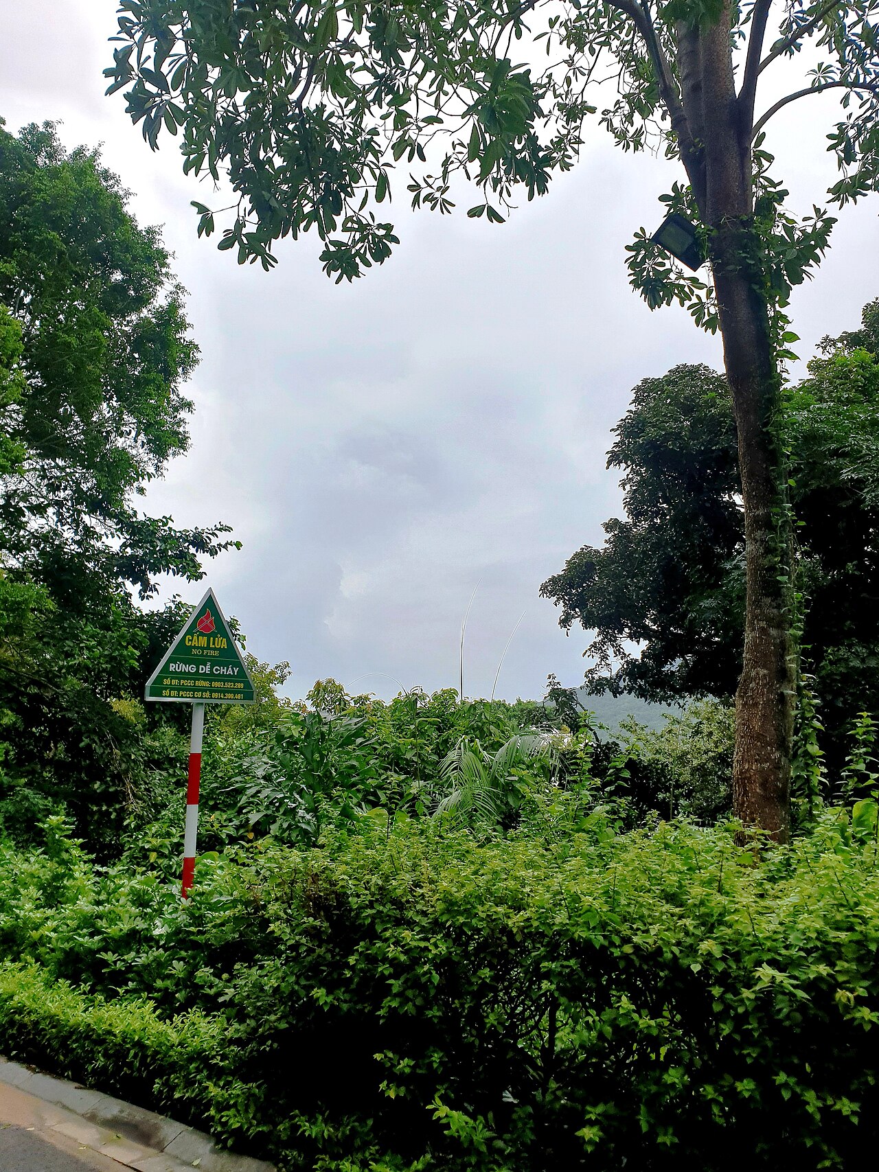 Ein Foto von Sơn-Trà-Berg