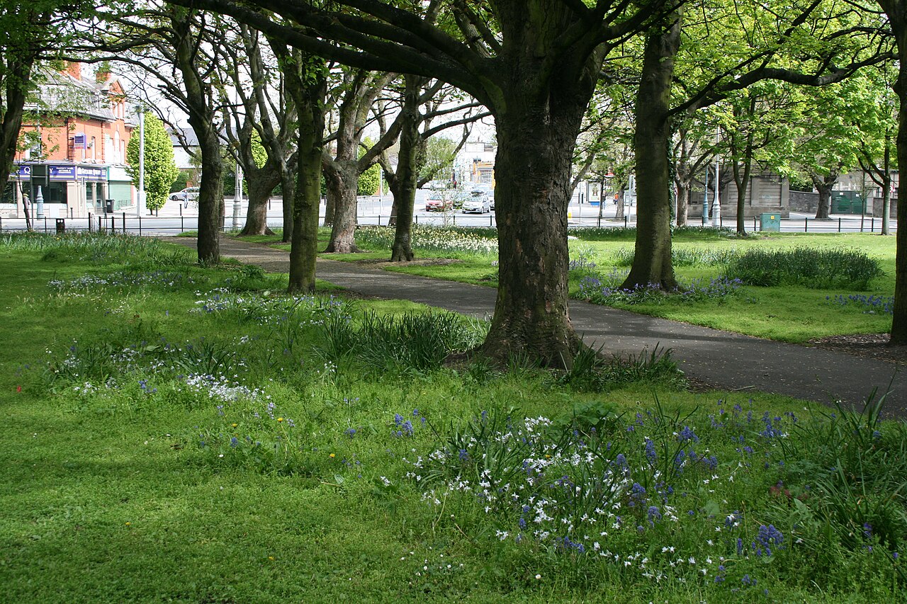 Ein Foto von Fairview-Park