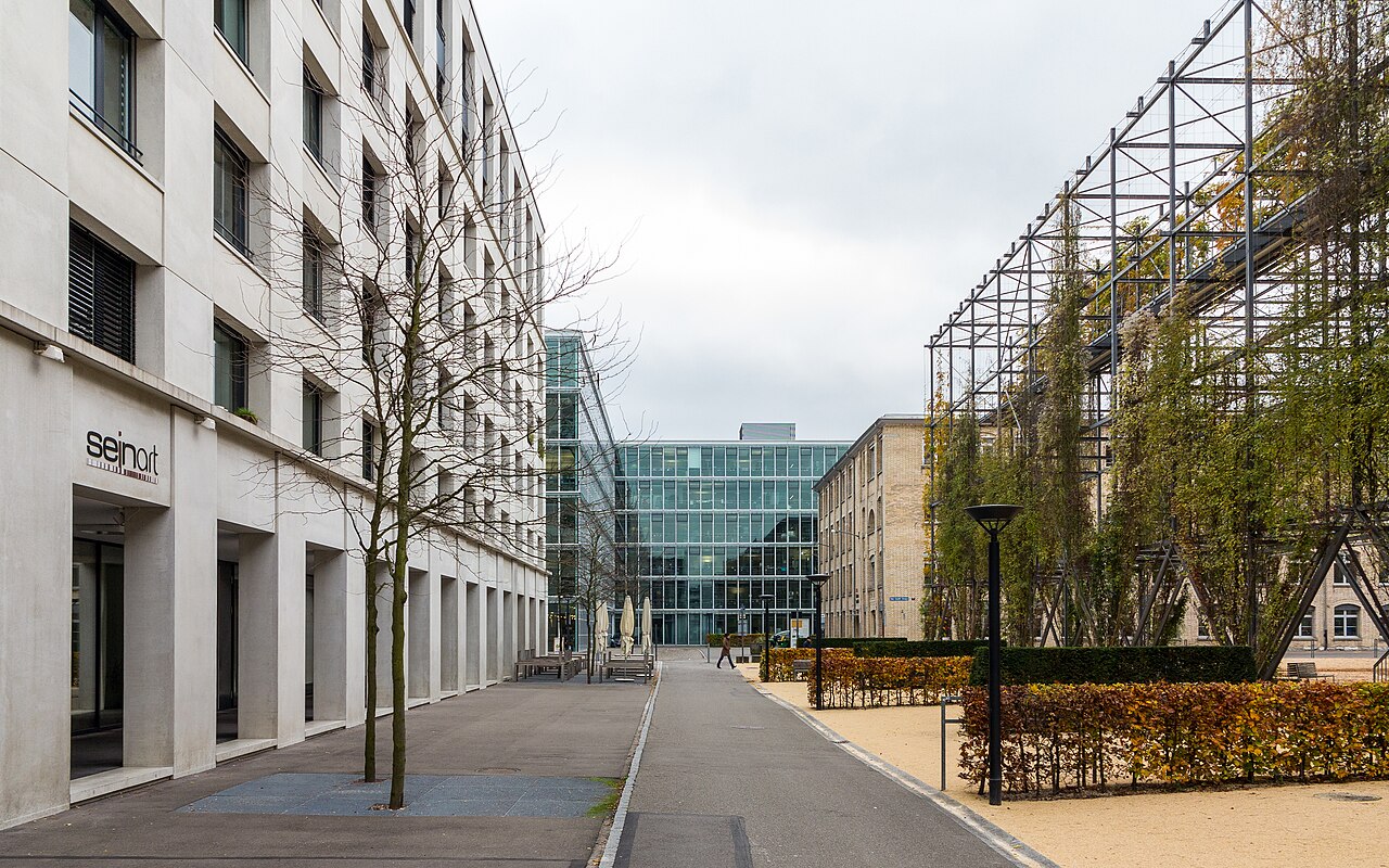 Ein Foto von MFO-Park