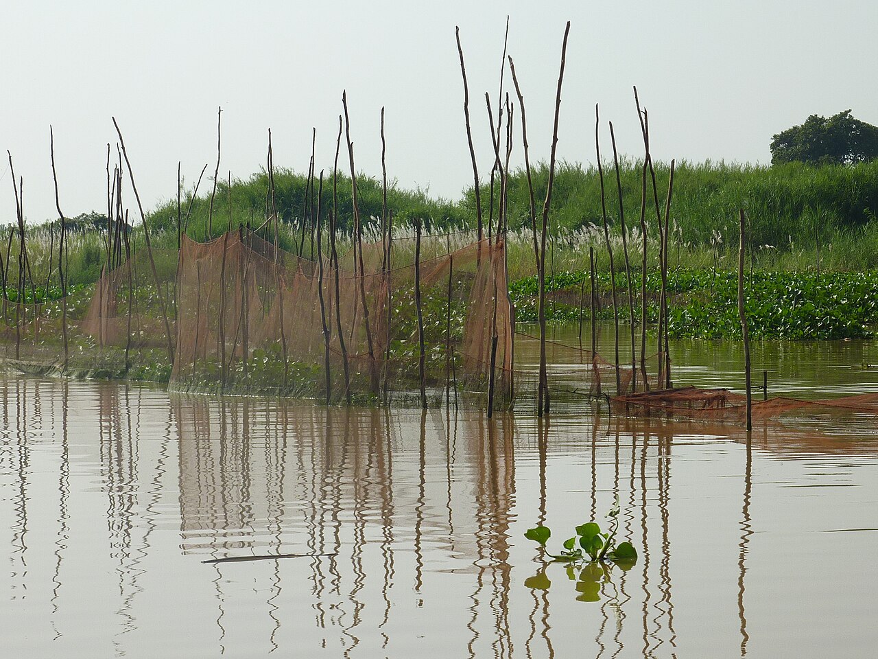 Una fotografía de Tonlé Sap