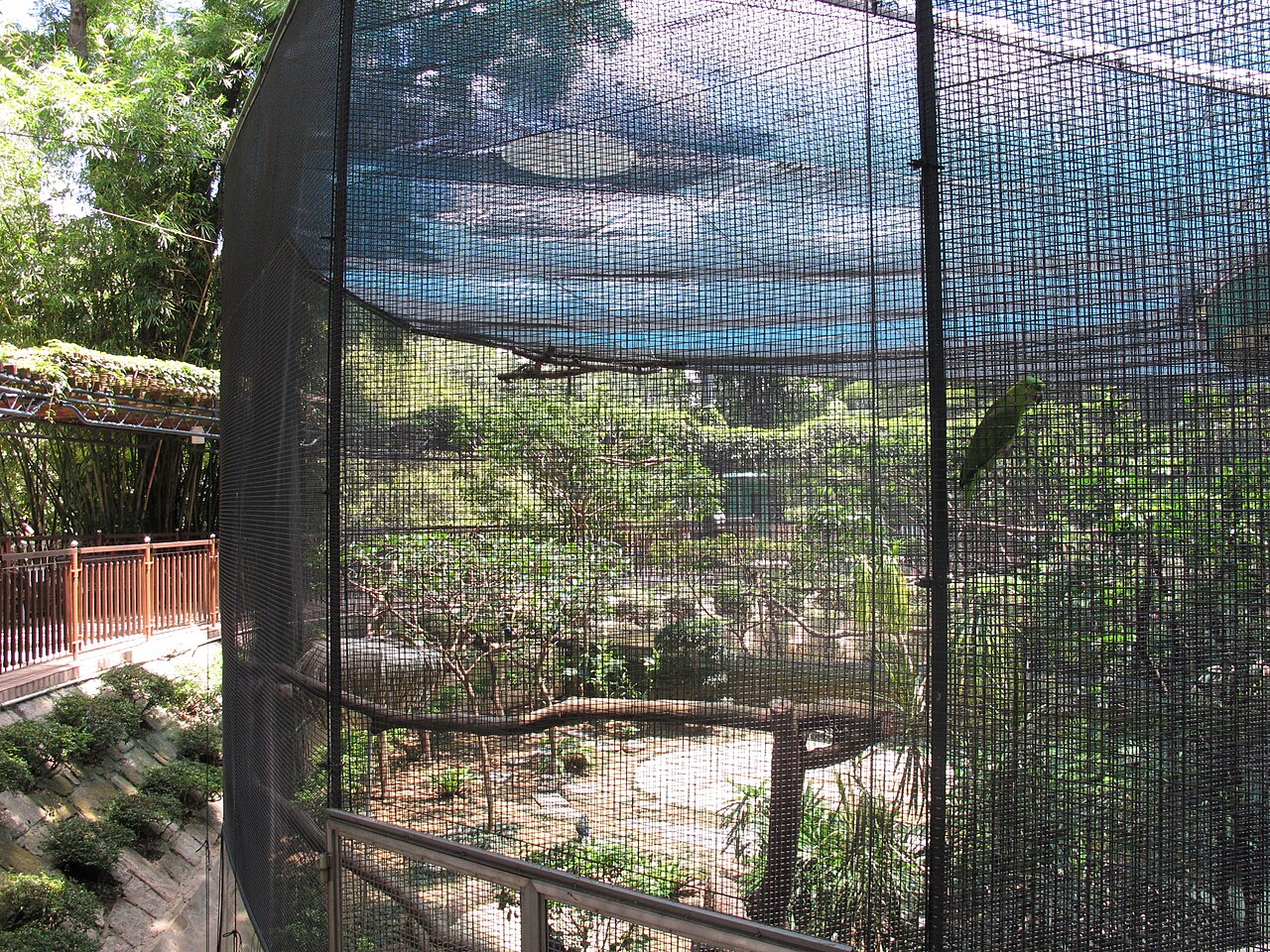 Aviary Park