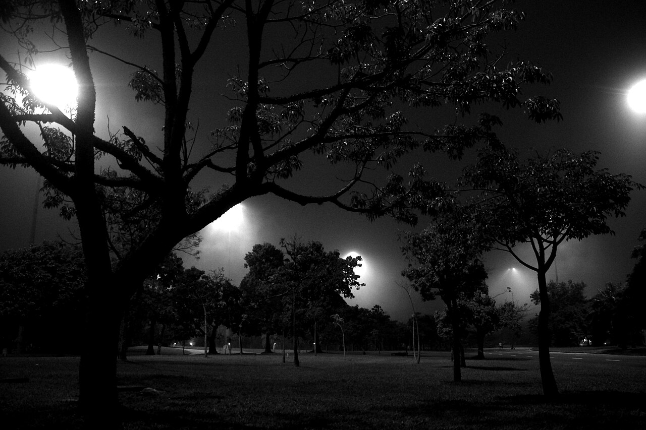 A photograph of Flamengo Park
