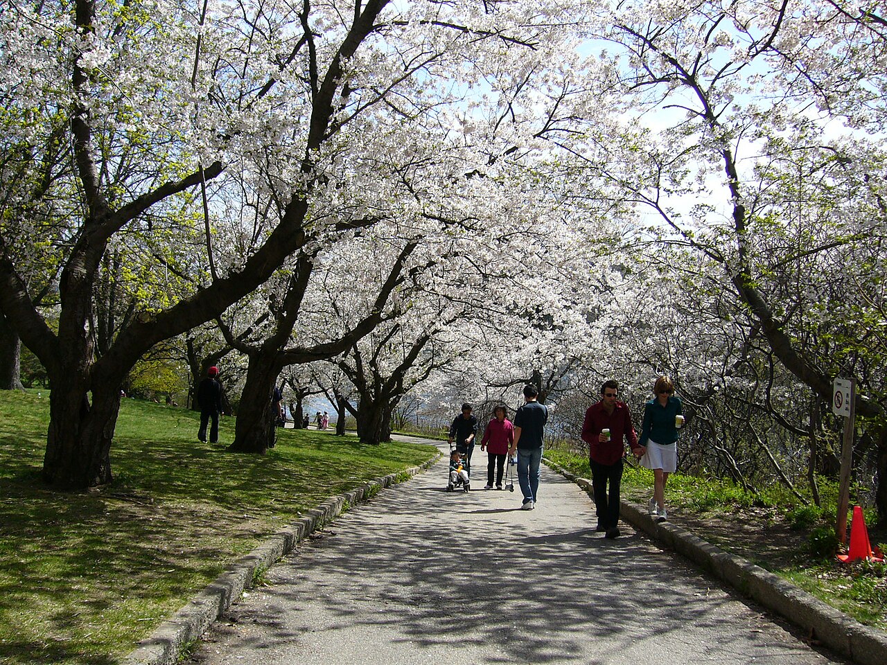 A photograph of High Park