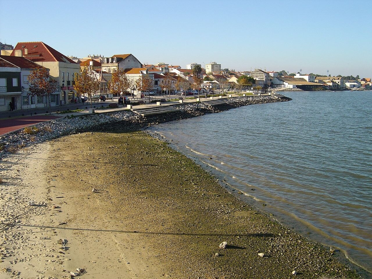 A photograph of Amora