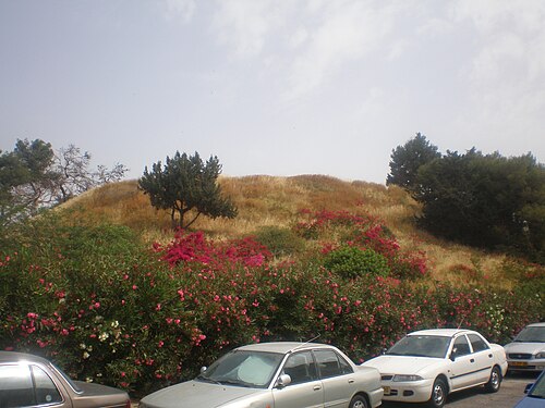 Tel Gerisa