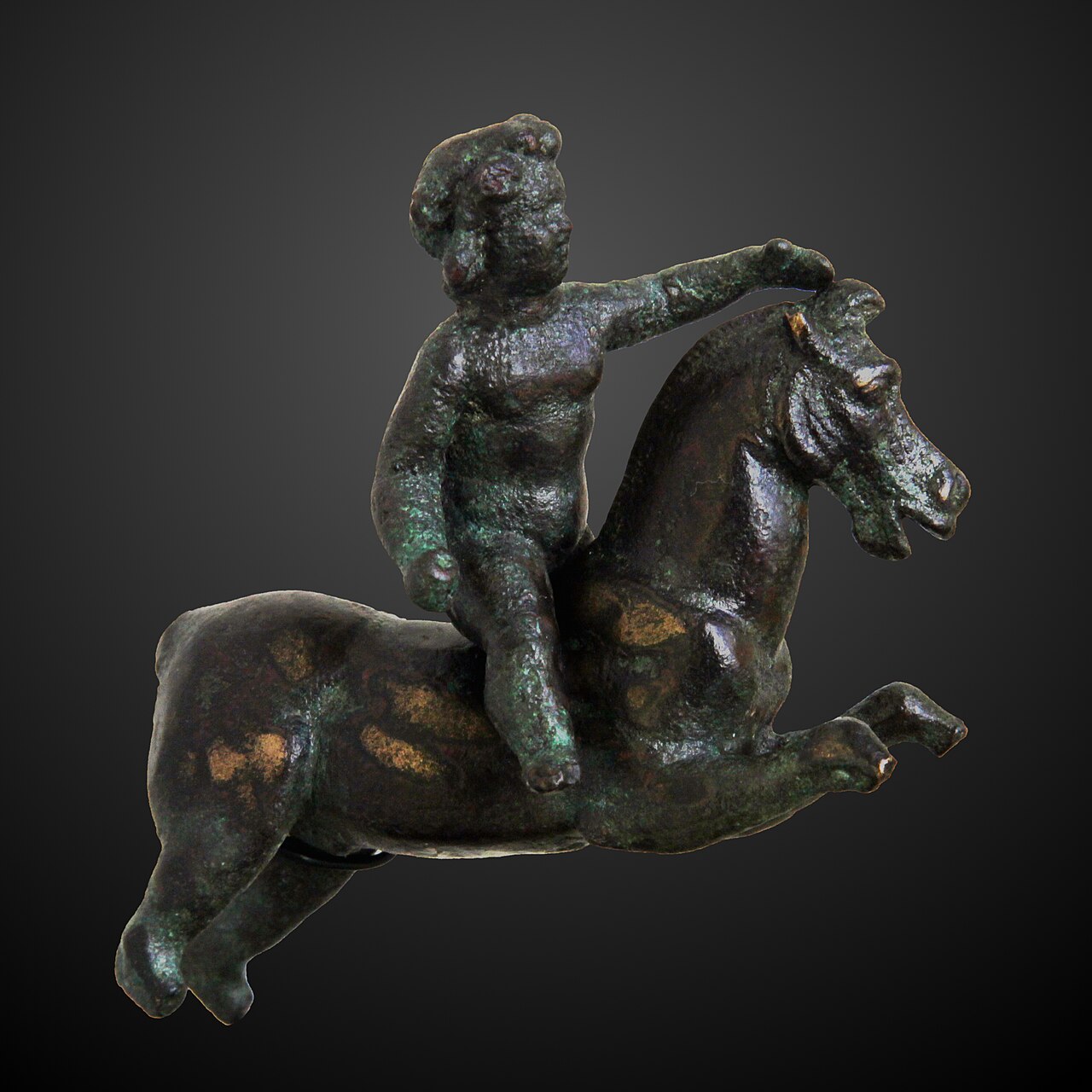 Une photographie de Arabian Horse Museum