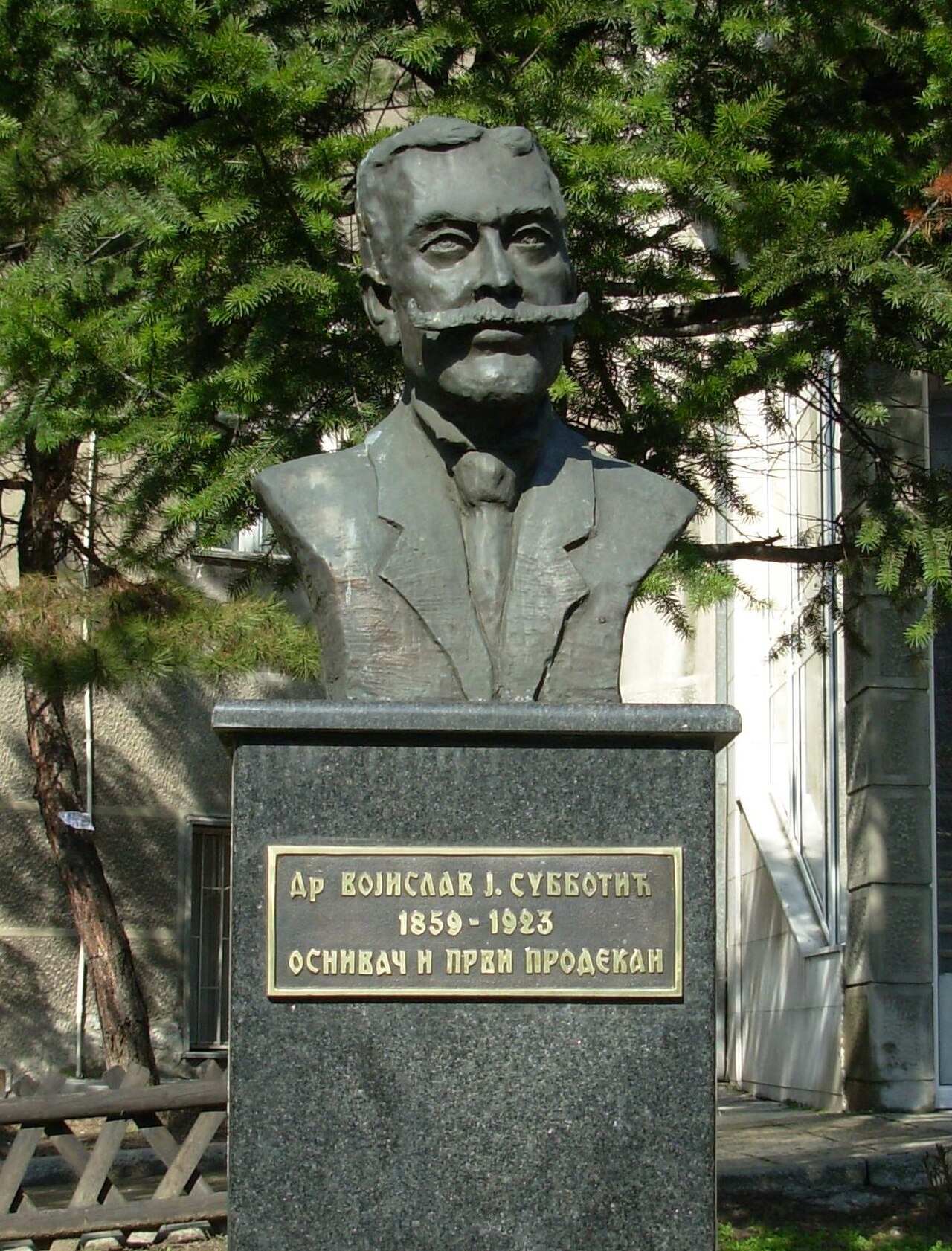 Busto do Dr. Vojislav J. Subotić