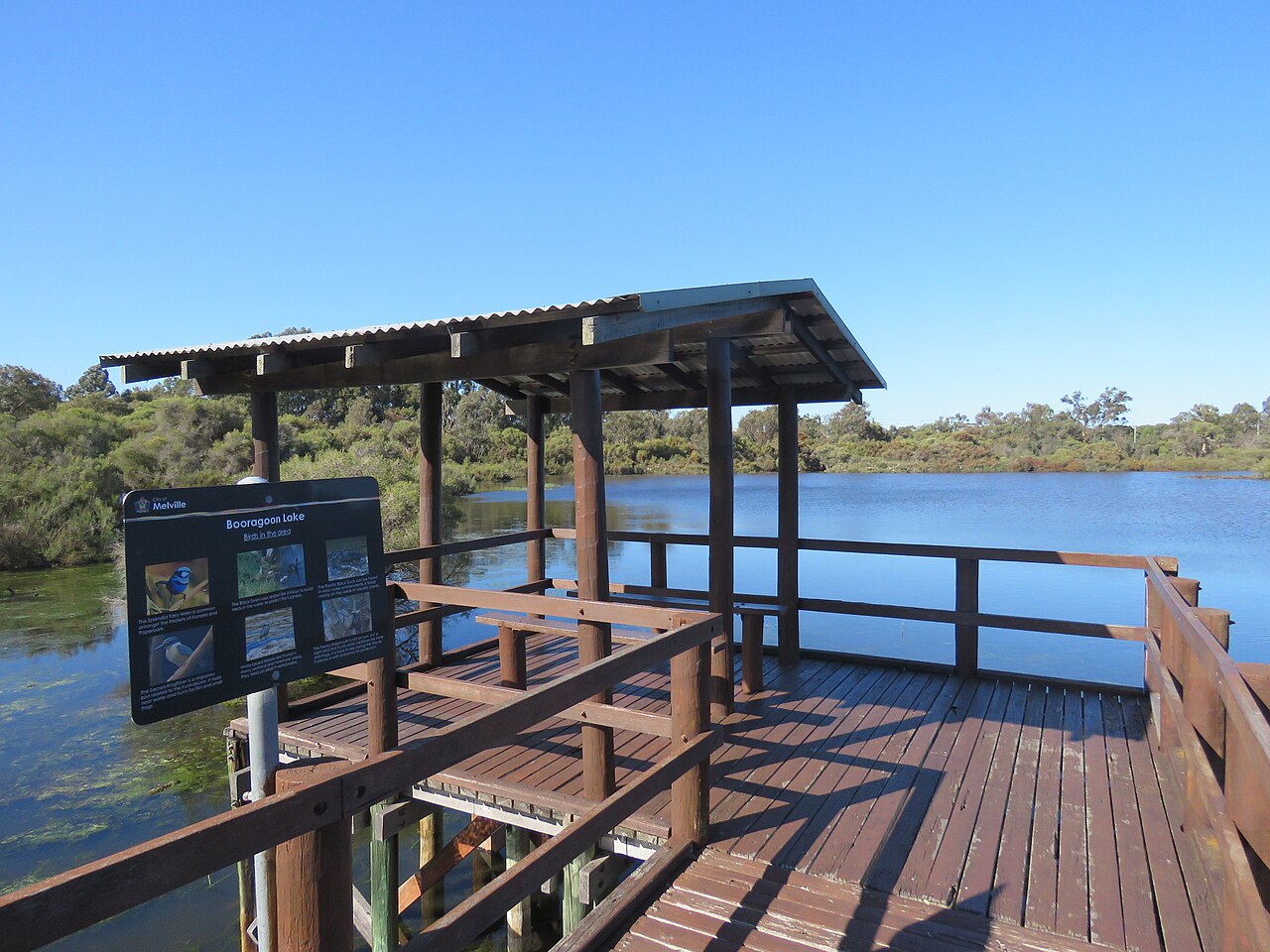 A photograph of Booragoon Lake