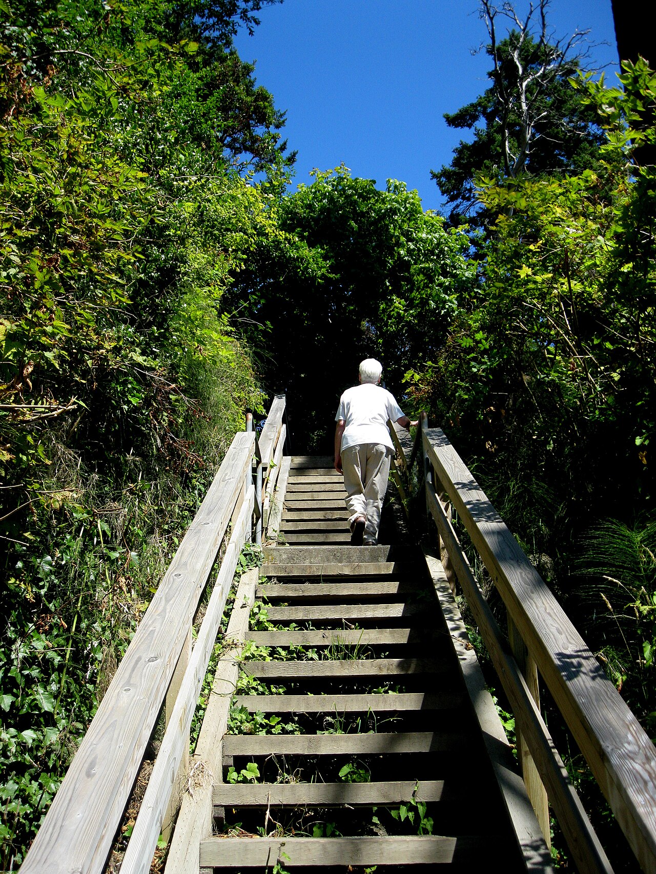 Arbutus Park fotoğrafı