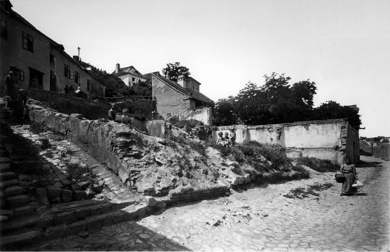 A photograph of horgony