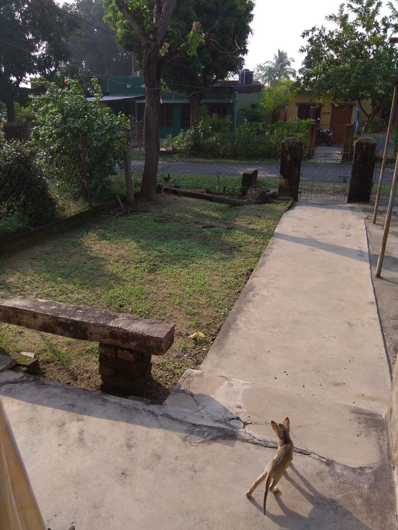 Home fotoğrafı