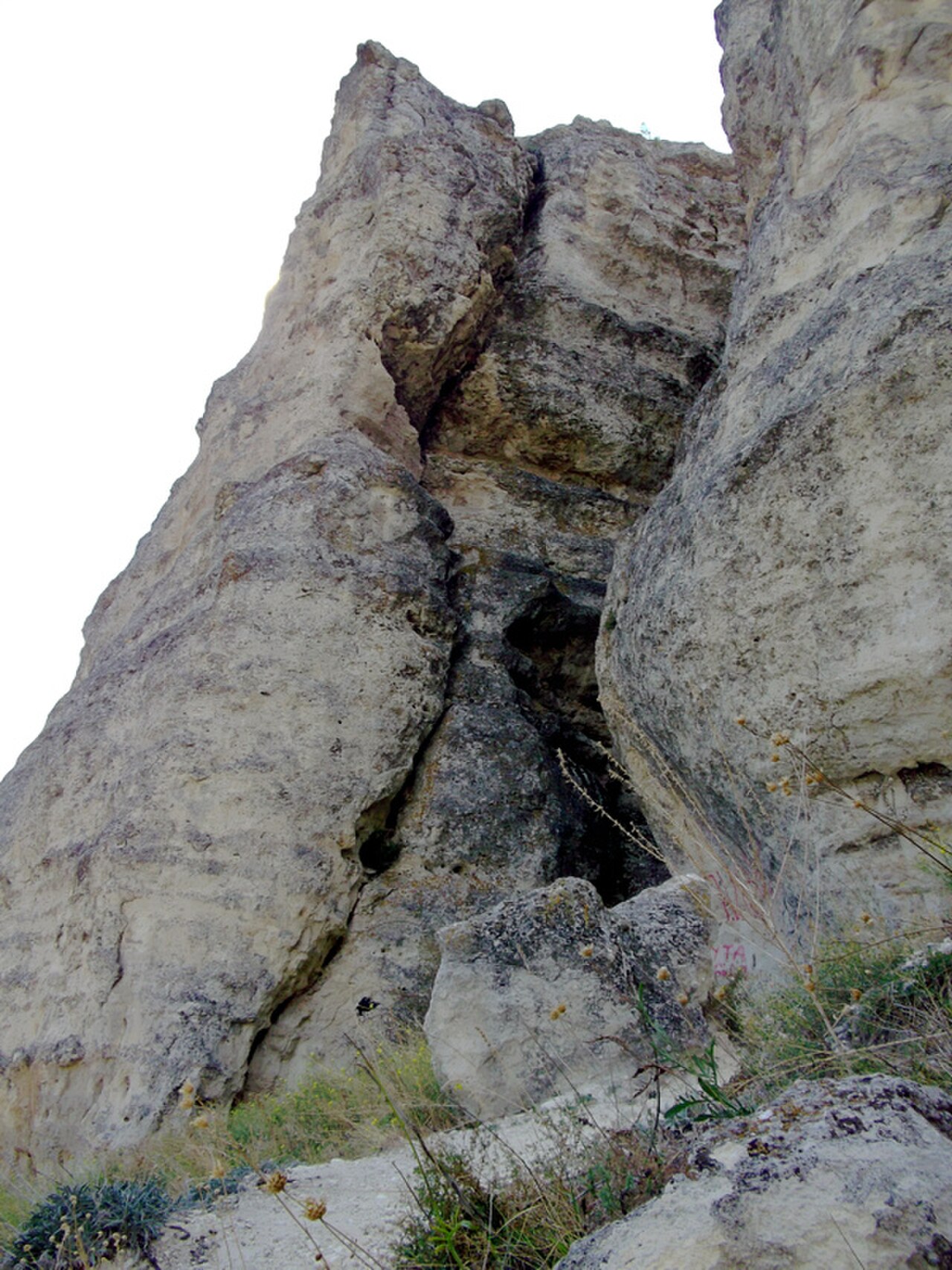 صورة نصب الأفعى