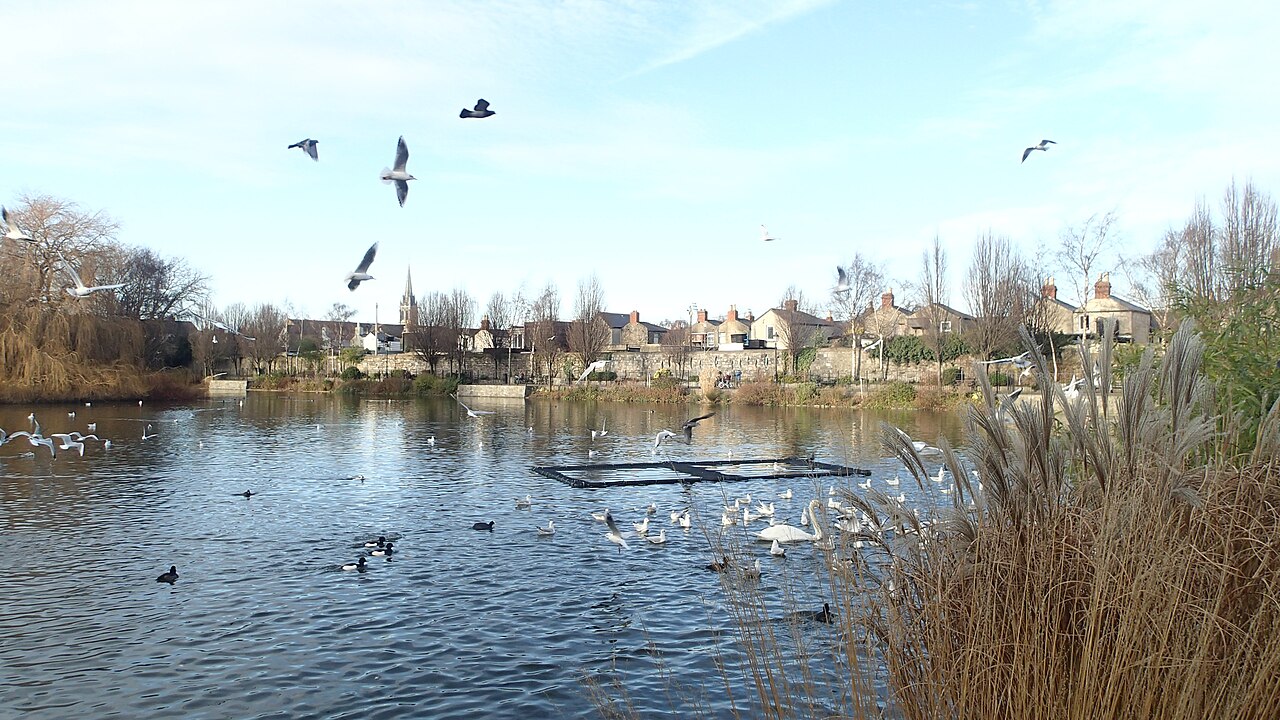 Ein Foto von Blessington Street Basin