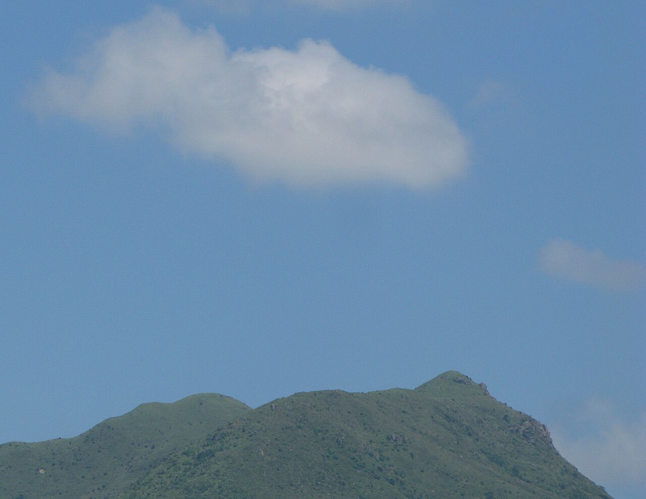 صورة تل بافالو