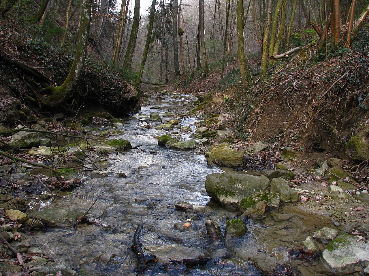 Ein Foto von Sagentobelbach
