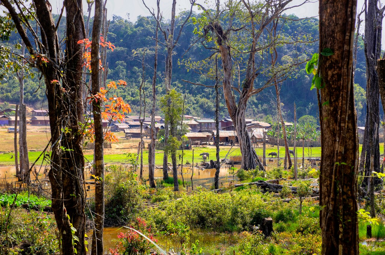Ein Foto von Nong-Fa-See