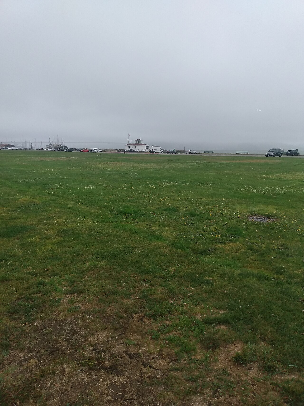 마리나 그린의 사진