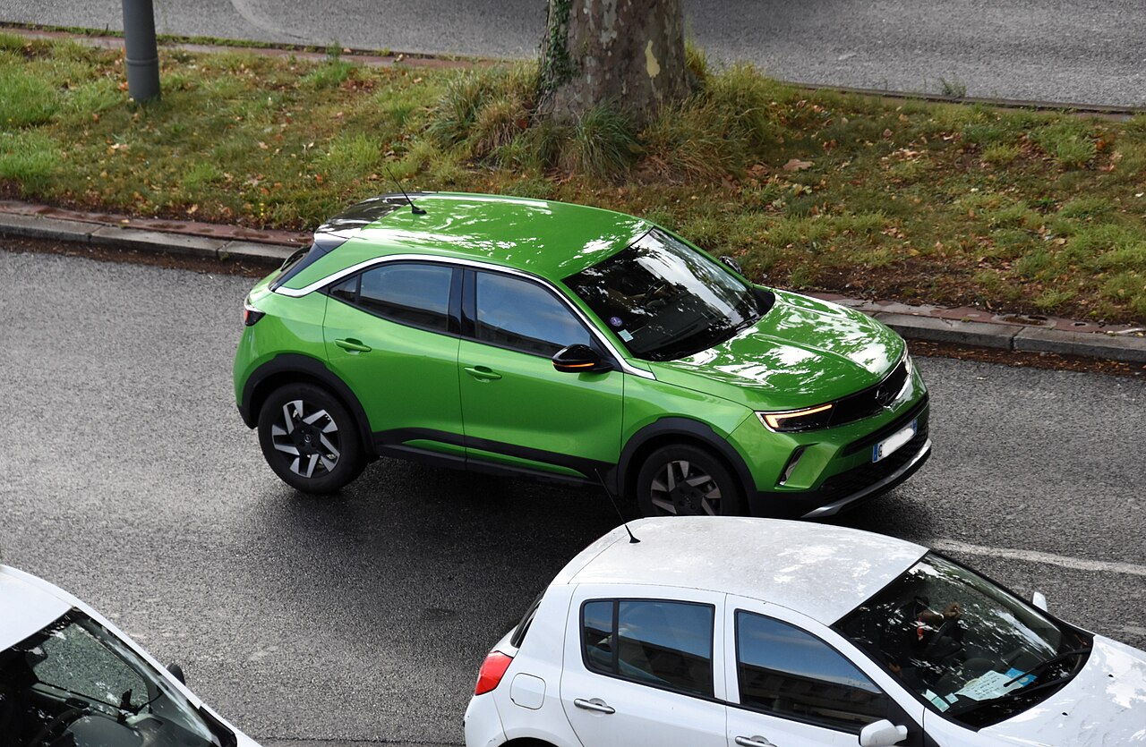 Une photographie de Mokka
