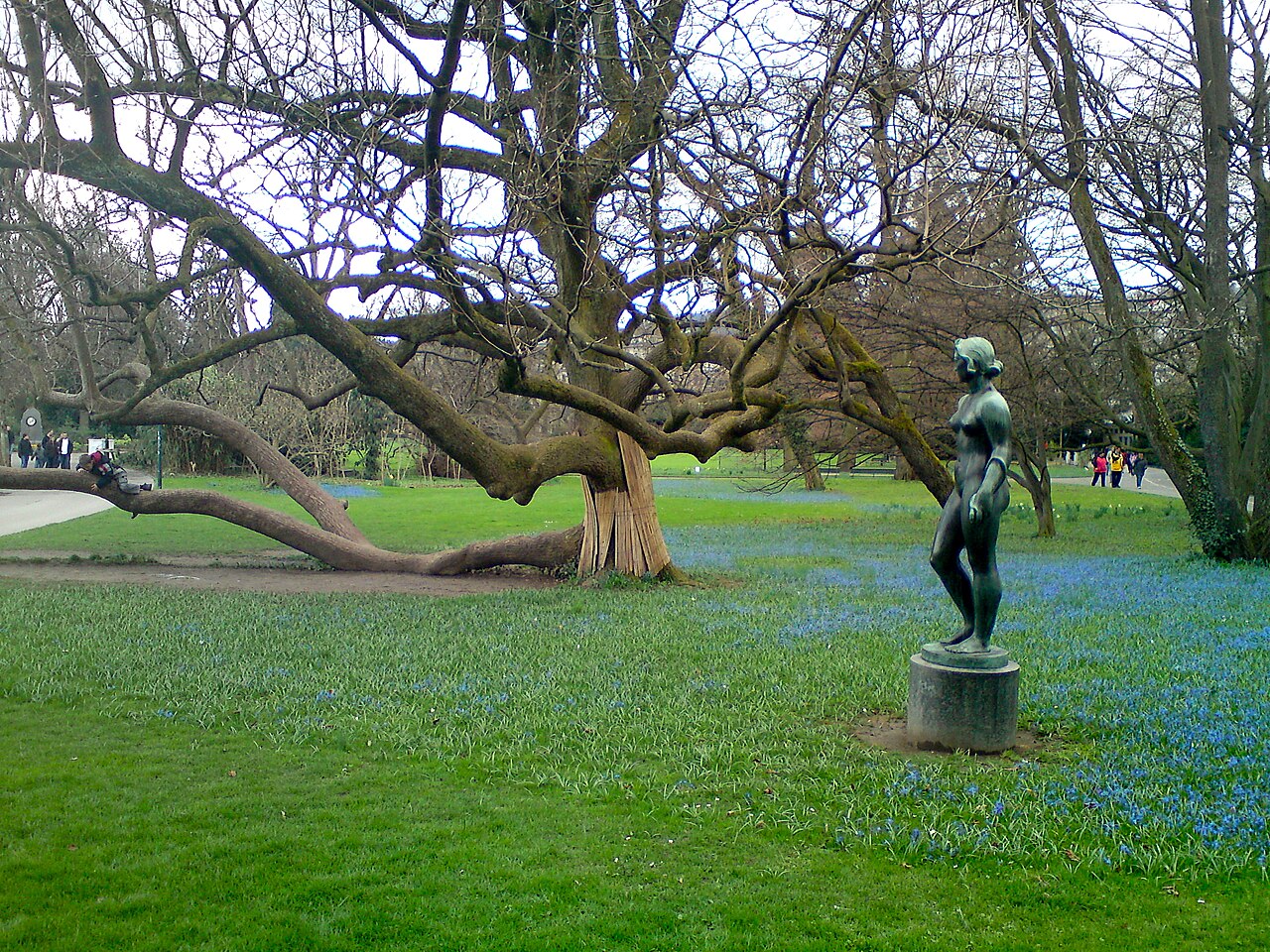 Arboretum Zürih