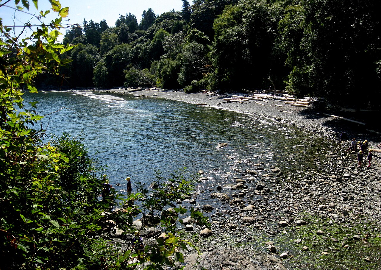 Arbutus Park fotoğrafı