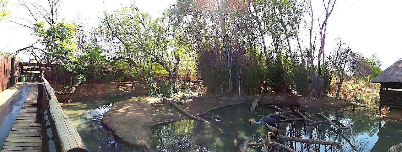 Austin Reserve fotoğrafı