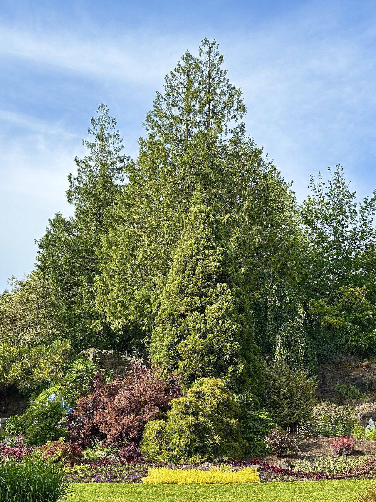 Large Quarry Garden