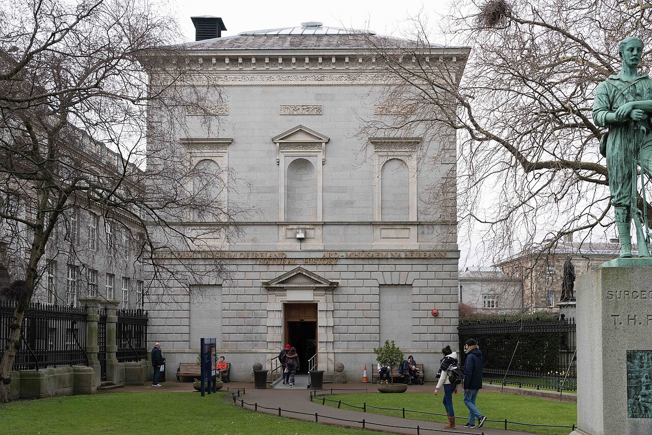 İrlanda Ulusal Müzesi, Merrion Street
