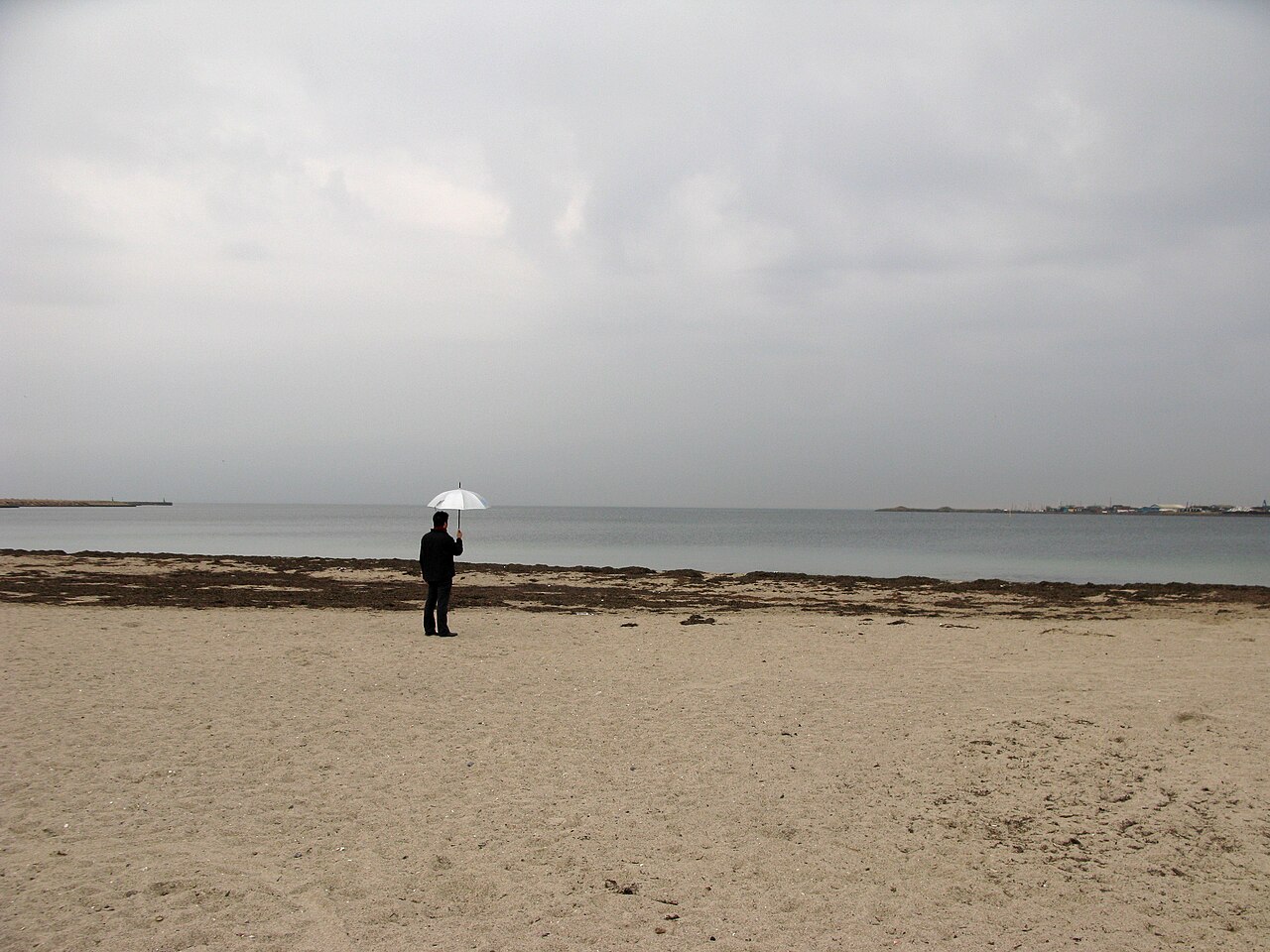 Una fotografia di spiaggia di Svanemøllen