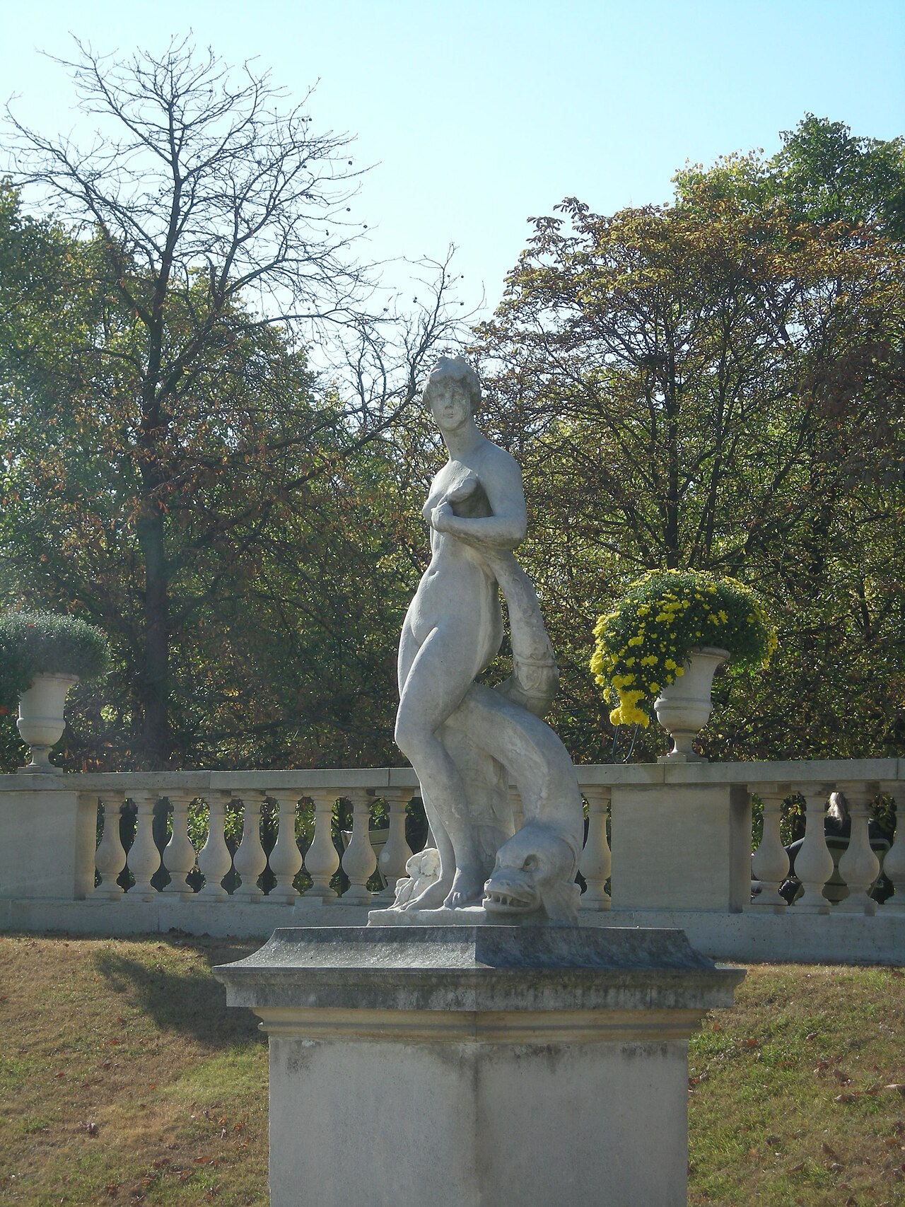 Vénus au Dauphin