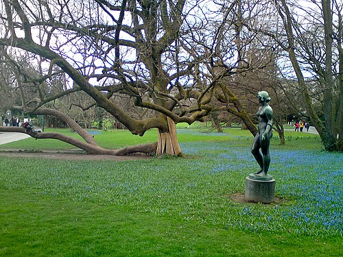 Arboretum Zürich