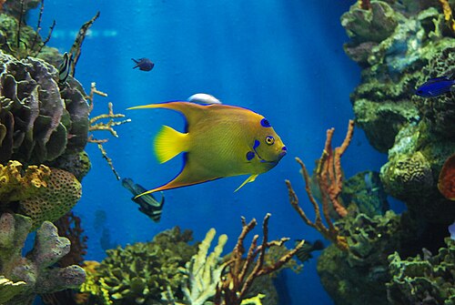 Barcelona Aquarium