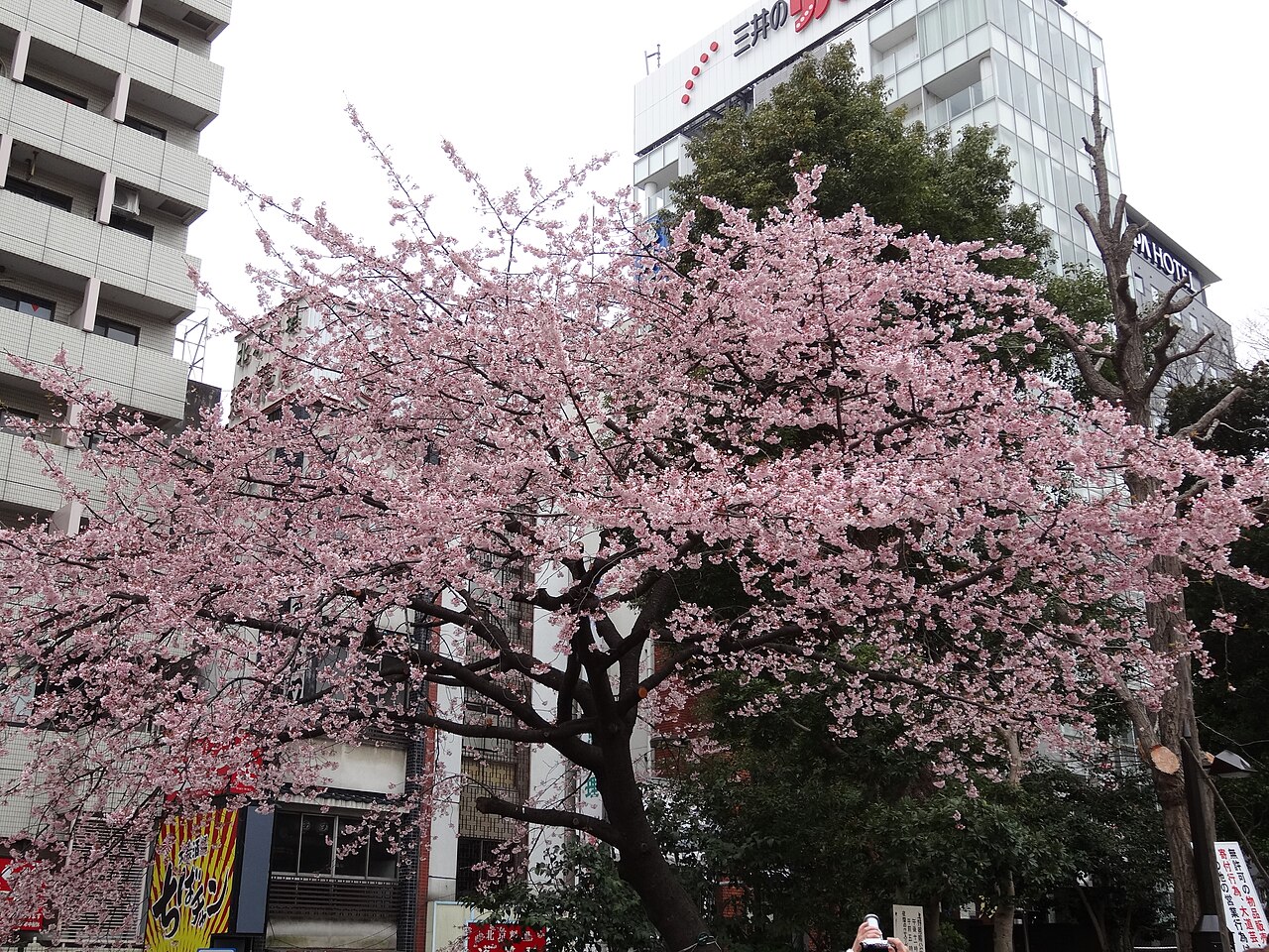 A photograph of 上野恩賜公園