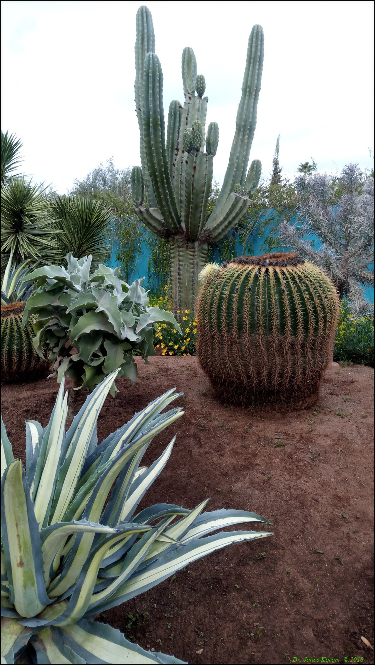 A photograph of ANIMA Jardin