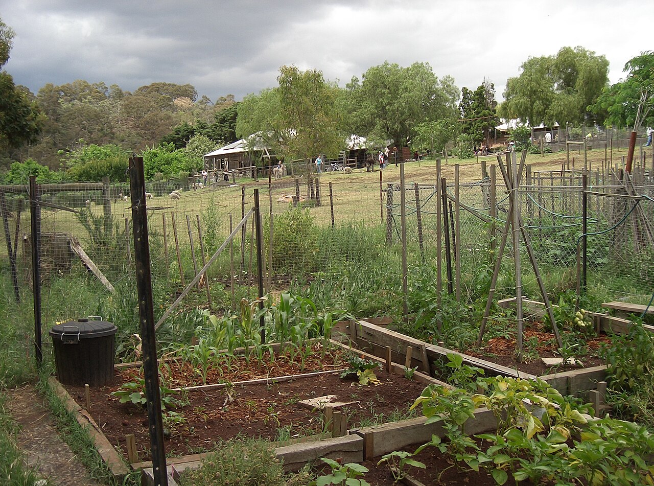 Ein Foto von Collingwood Children's Farm