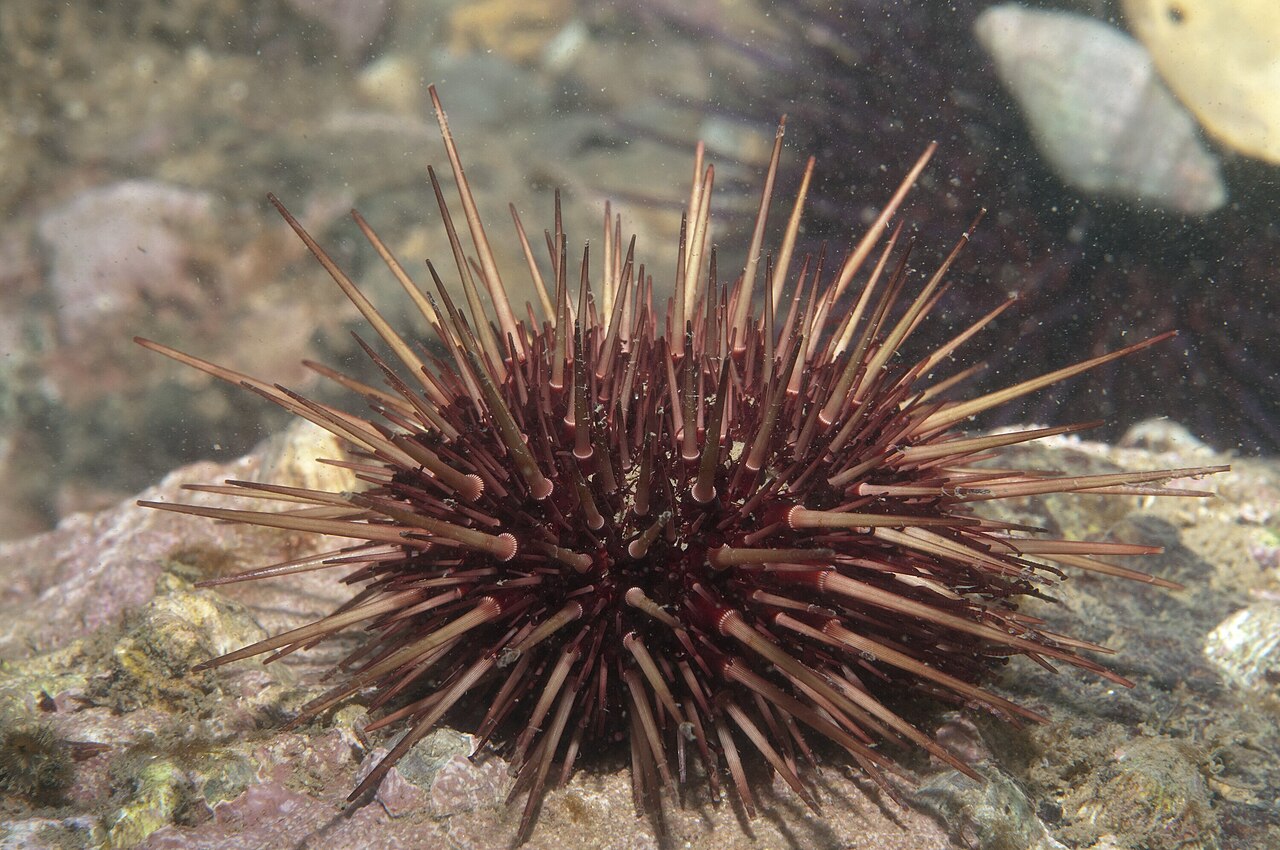 Una fotografia di Parco costiero Point Cook