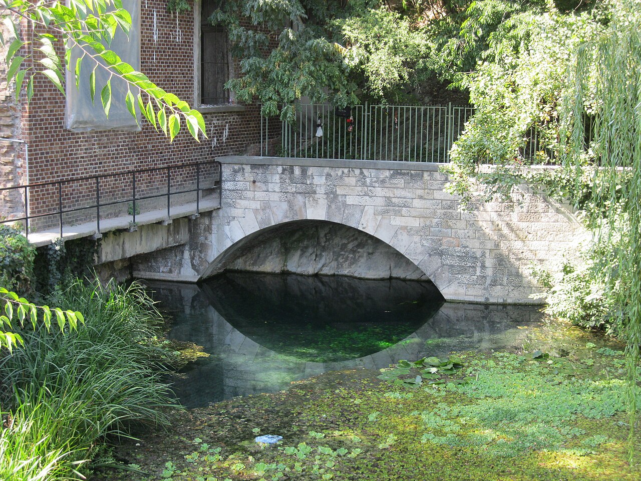 Grotta Molnár János