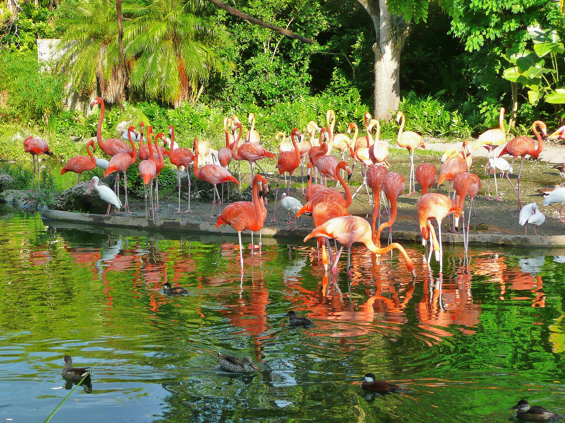 A photograph of Zoo Miami