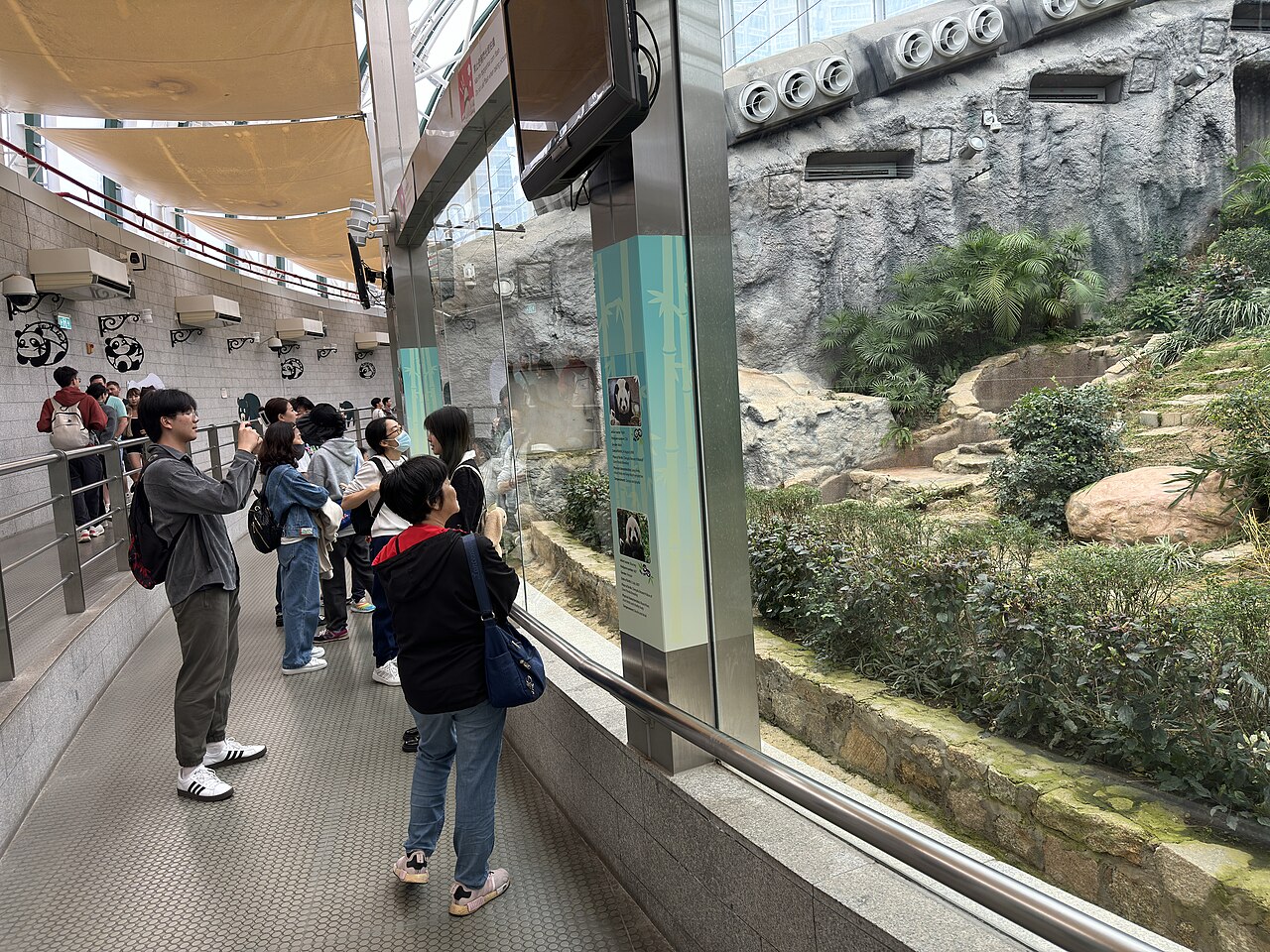 A photograph of Macao Giant Panda Pavilion