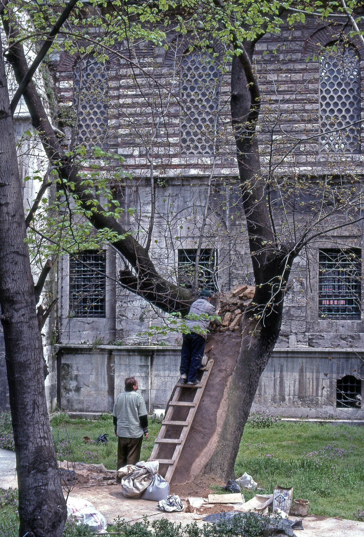 A photograph of Molla Gürani Mosque