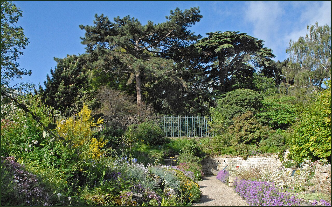 Alpengarten