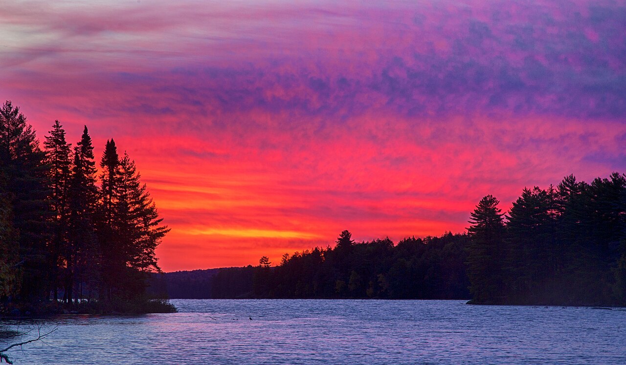 Uma fotografia de Lago Trout