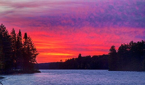 Trout Lake